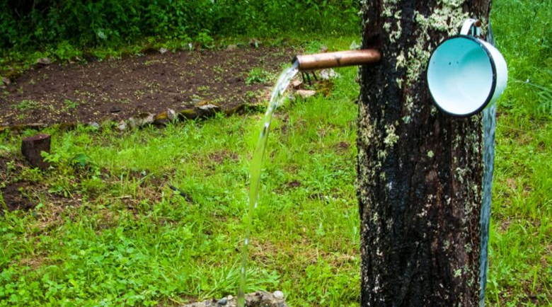 Поне 5 изобилни извора на село Горна Секирна са затлачени