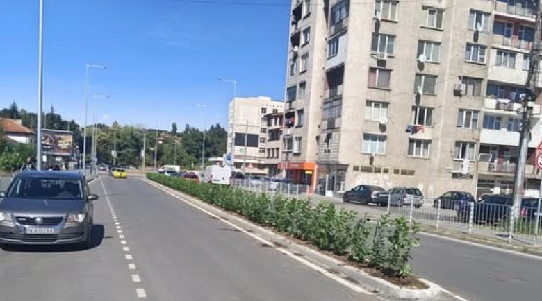 Озелениха най-голямото кръгово кръстовище в Перник